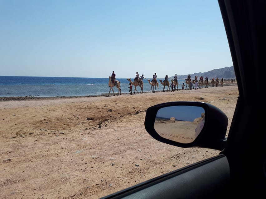 From Sharm el-Sheikh: Full Day Snorkeling in Dahab